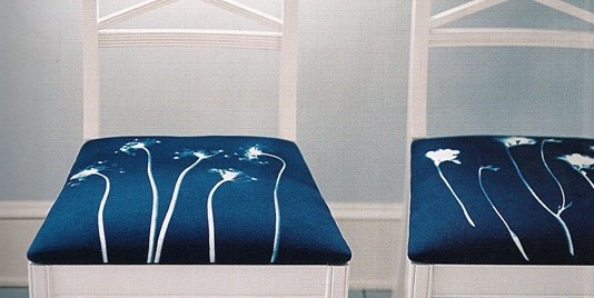 Cyanotype Fabrics