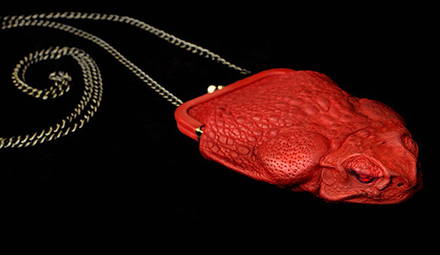 Cane Toad Necklace Pouch